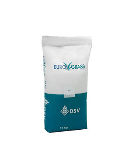 بذر چمن لولیوم DSV (مناسب زمینهای ورزشی و فضای سبز؛ رشد سریع و مقاوم به سرما)