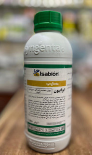 اسید آمینه ایزابیون سینجنتا