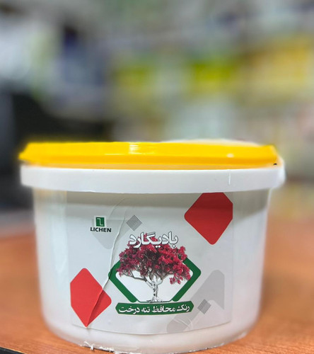 رنگ محافظ تنه بادیگارد